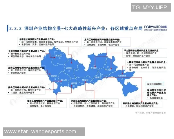 深入探讨CSGOLNG技术创新与应用前景的全景分析
